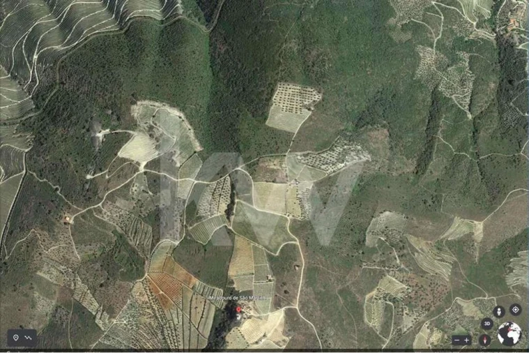 Terreno para Venda em Seixas Foto 9