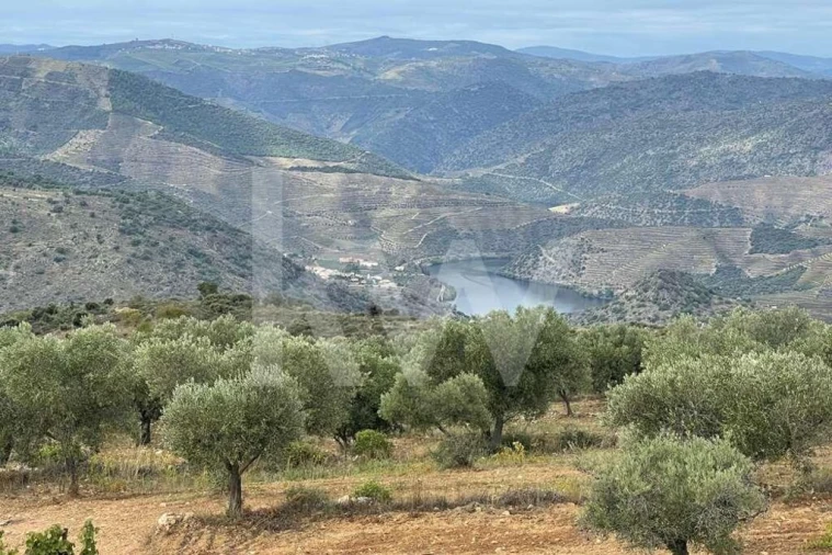 Terreno para Venda em Seixas Foto 13