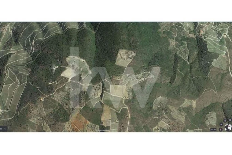 Terreno para Venda em Seixas Foto 8