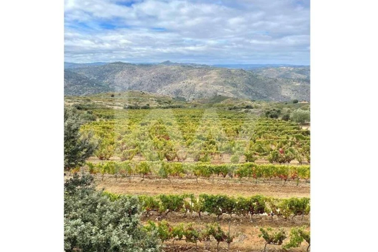 Terreno para Venda em Seixas Foto 10