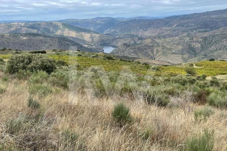 Terreno para Venda em Seixas Foto 14