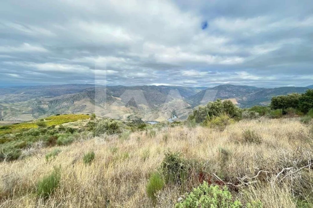 Terreno para Venda em Seixas Foto 15