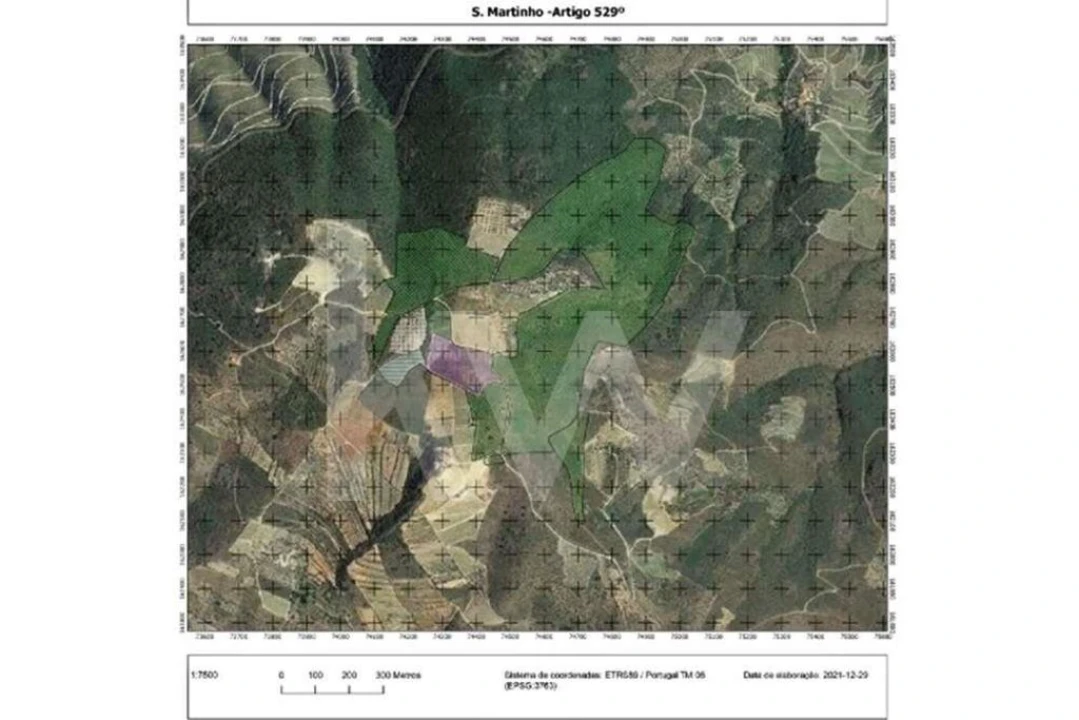 Terreno para Venda em Seixas Foto 4