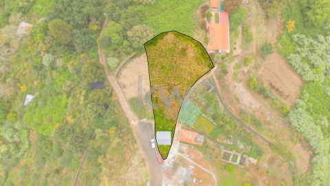 Terreno para Venda em Santa Cruz