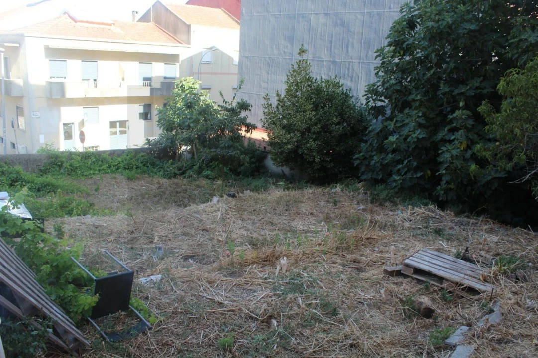 Terreno para Venda em Encosta do Sol Foto 8