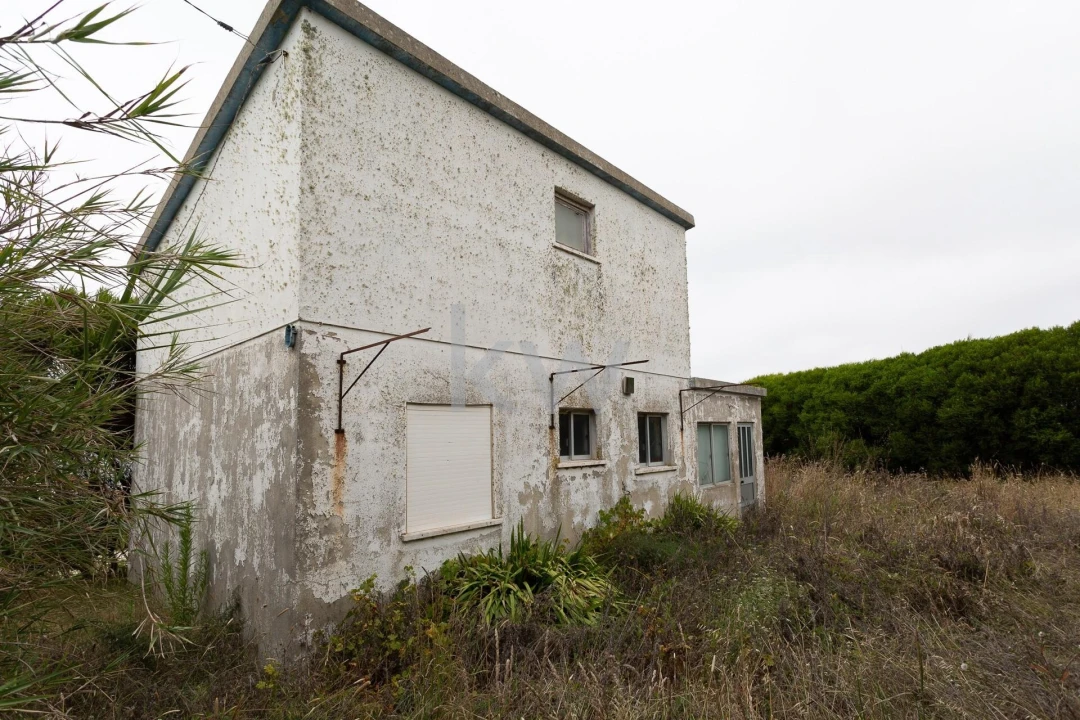 Moradia T2 para Venda em São Pedro da Cadeira Foto 6