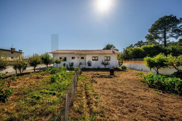 Moradia T2 para Venda em Grijó e Sermonde Foto 29