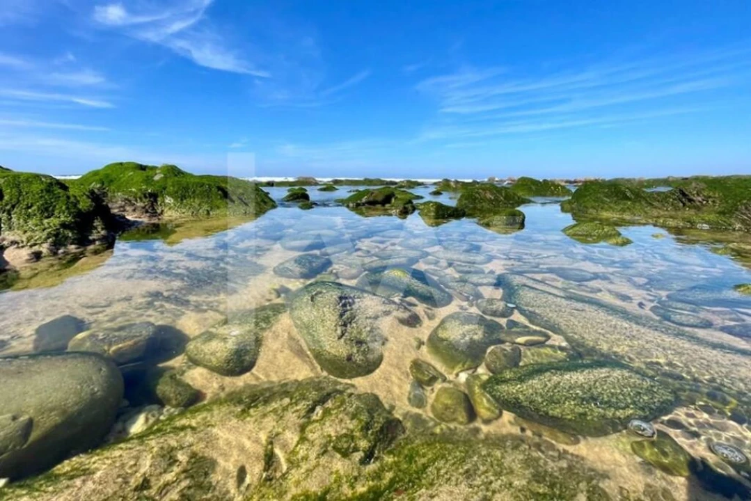 Terreno para Venda em Porto Covo Foto 14