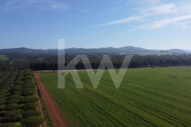 Terreno para Venda em Porto Covo Foto 17