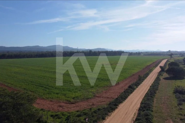 Terreno para Venda em Porto Covo Foto 19
