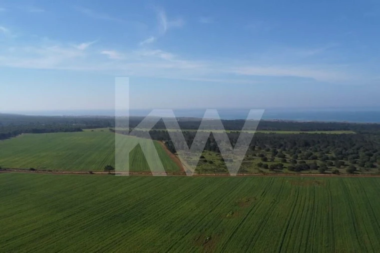 Terreno para Venda em Porto Covo Foto 27