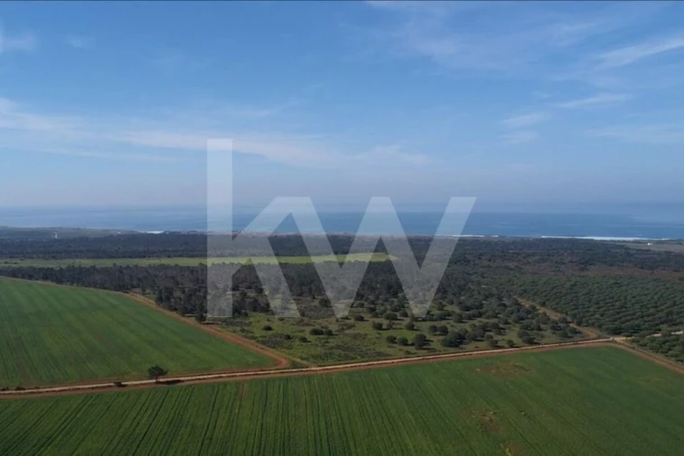 Terreno para Venda em Porto Covo Foto 28