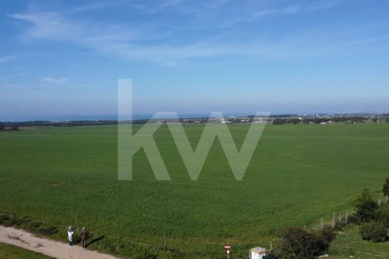Terreno para Venda em Porto Covo Foto 16