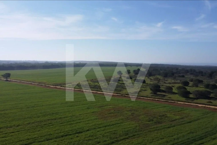 Terreno para Venda em Porto Covo Foto 22