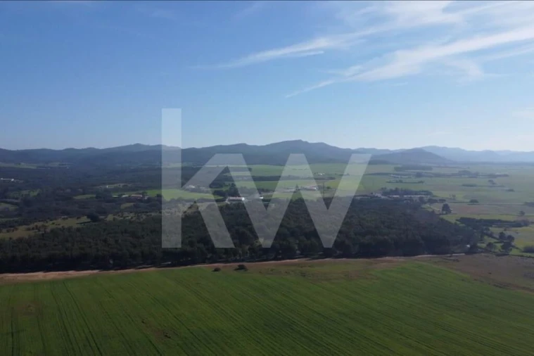 Terreno para Venda em Porto Covo Foto 7