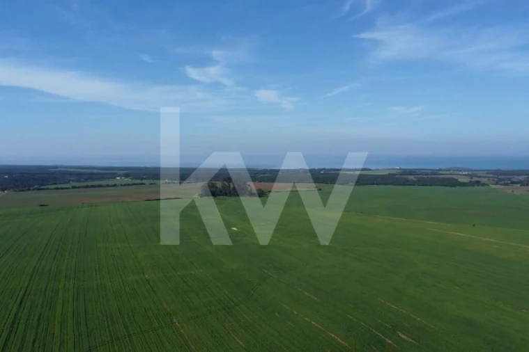 Terreno para Venda em Porto Covo Foto 26