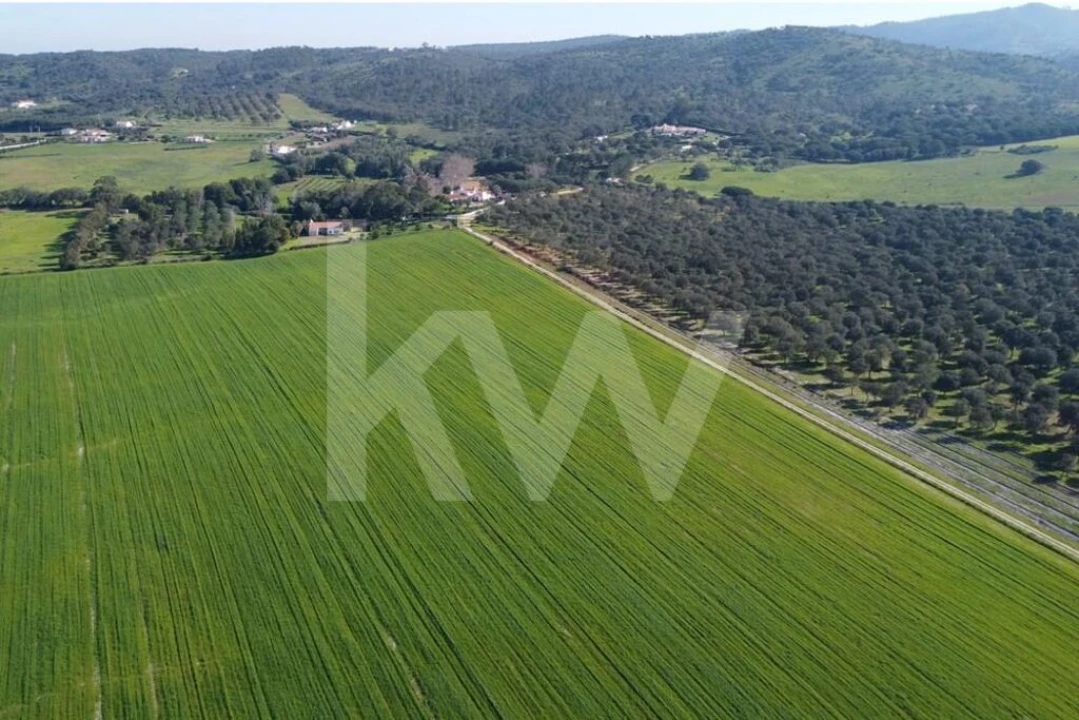 Terreno para Venda em Porto Covo Foto 15