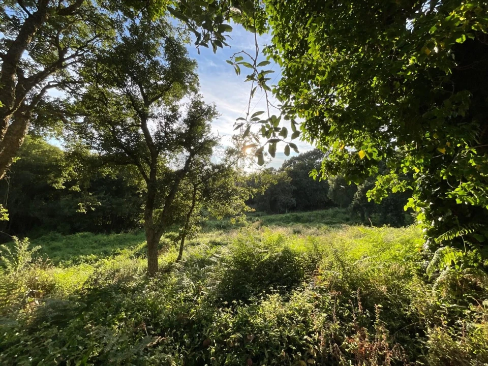 Terreno para Venda em Antas Foto 1