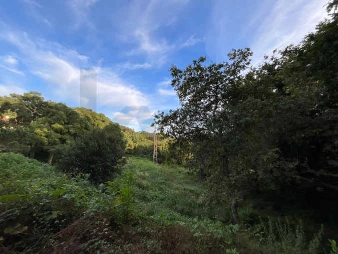 Terreno para Venda em Antas Foto 2