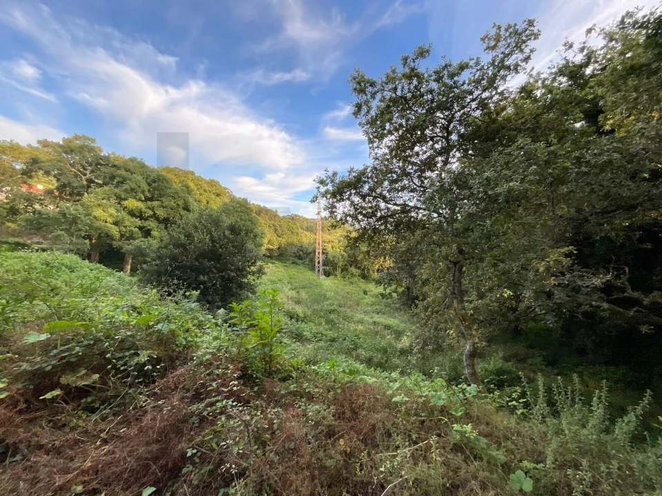 Terreno para Venda em Antas Foto 3