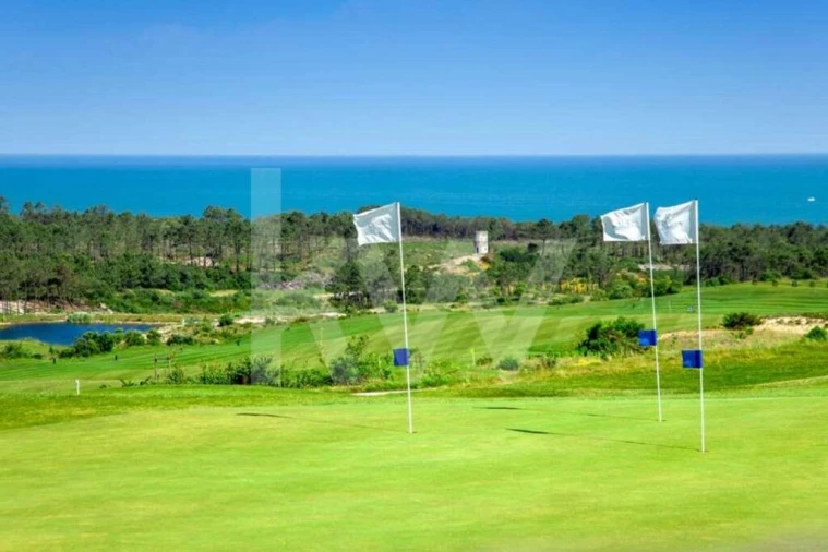 Moradia T2 para Venda em Vau Foto 13