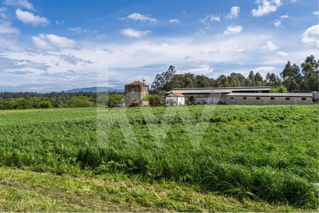 Quinta T3 para Venda em Reboreda e Nogueira Foto 17