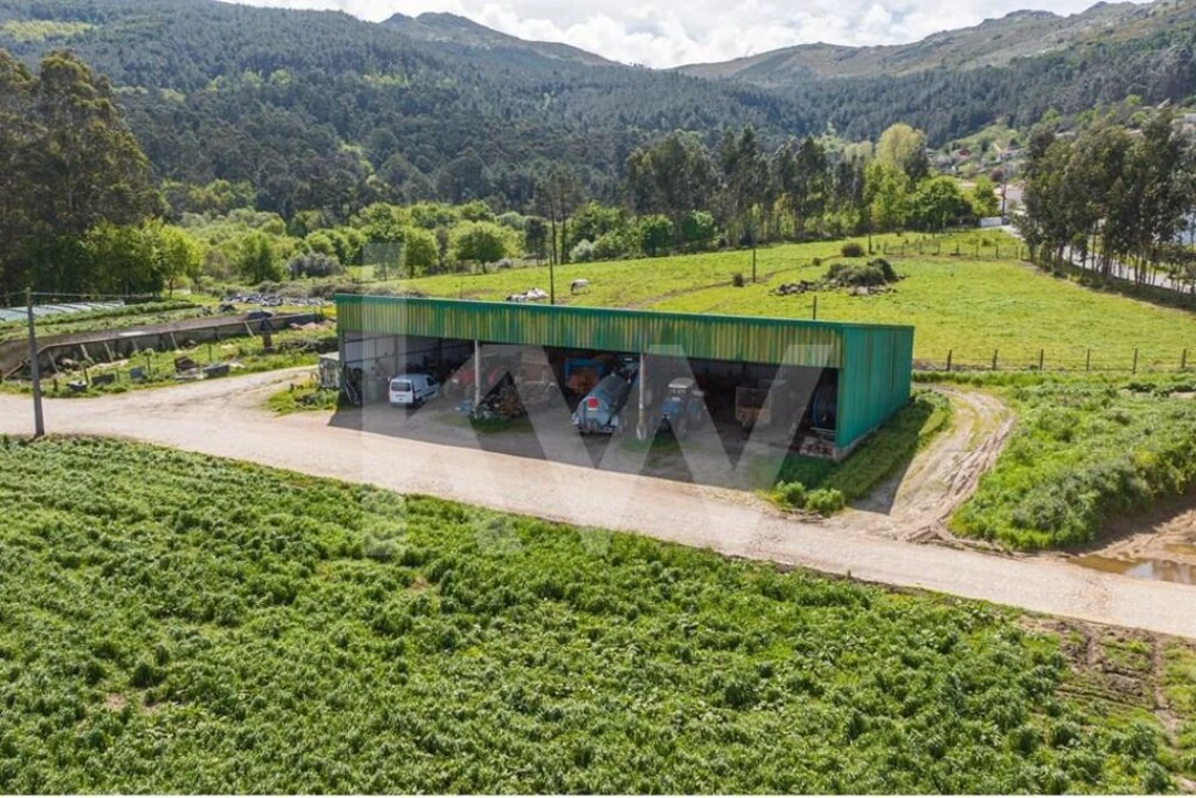 Quinta T3 para Venda em Reboreda e Nogueira Foto 5