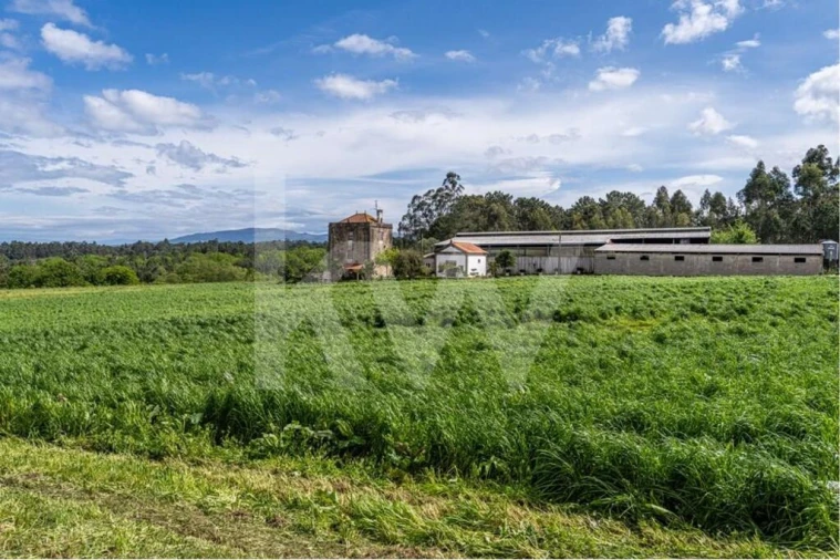 Quinta T3 para Venda em Reboreda e Nogueira Foto 17