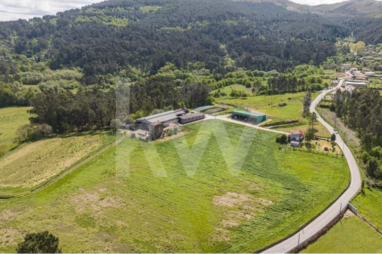 Quinta T3 para Venda em Reboreda e Nogueira Foto 7