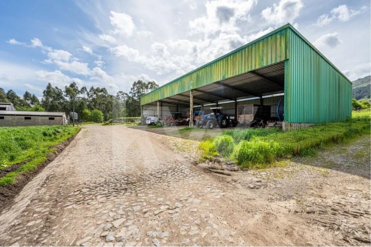 Quinta T3 para Venda em Reboreda e Nogueira Foto 19