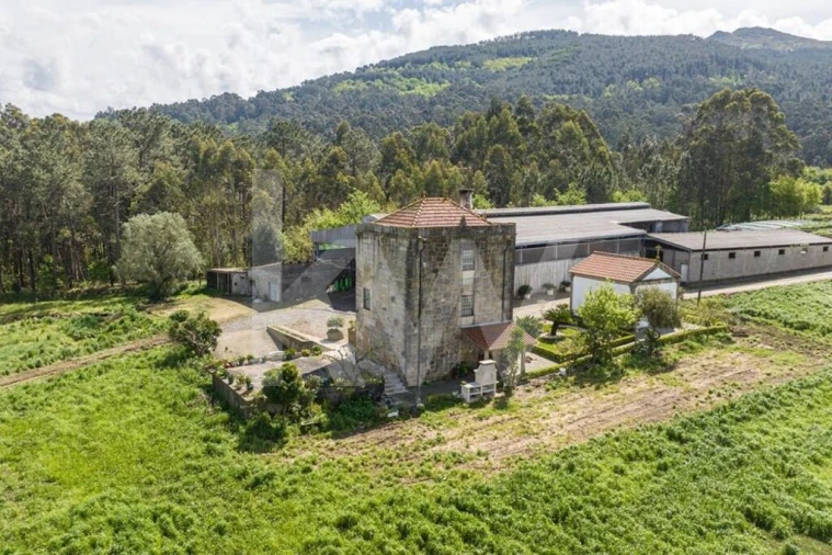 Quinta T3 para Venda em Reboreda e Nogueira Foto 34