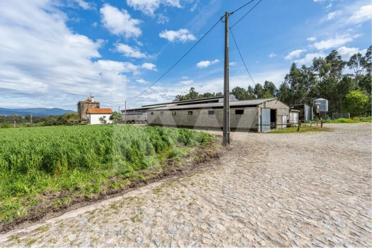 Quinta T3 para Venda em Reboreda e Nogueira Foto 20