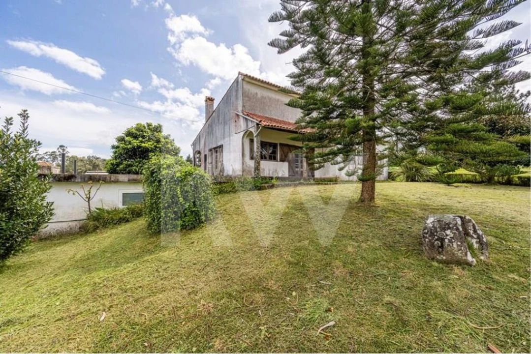 Quinta T3 para Venda em Reboreda e Nogueira Foto 15