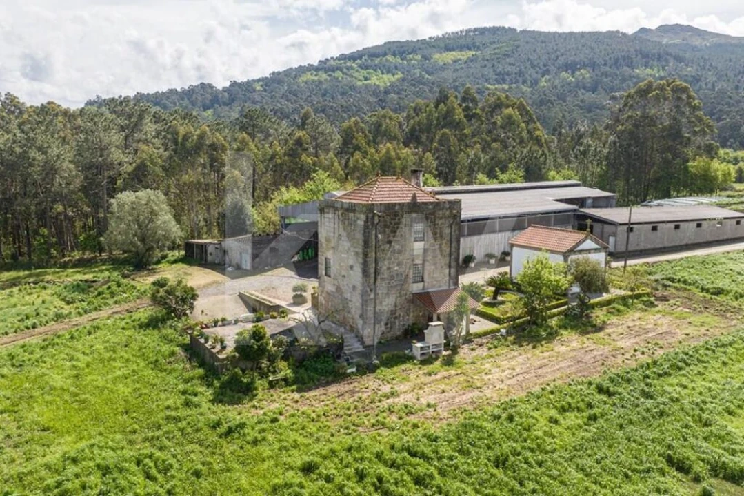 Quinta T3 para Venda em Reboreda e Nogueira Foto 34