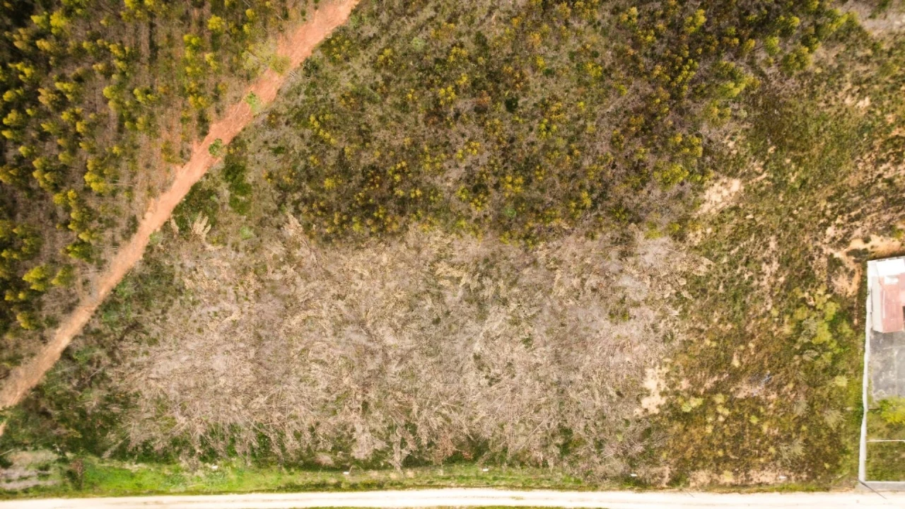 Terreno para Venda em Campelos e Outeiro da Cabeça Foto 7