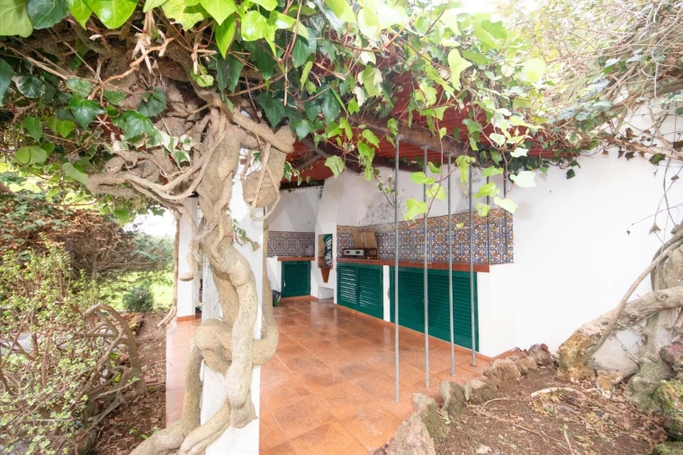 Moradia T3 para Venda em Arrifes Foto 55