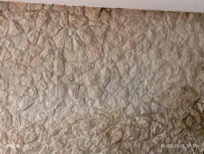 Quinta T3 para Venda em Pontevel Foto 24