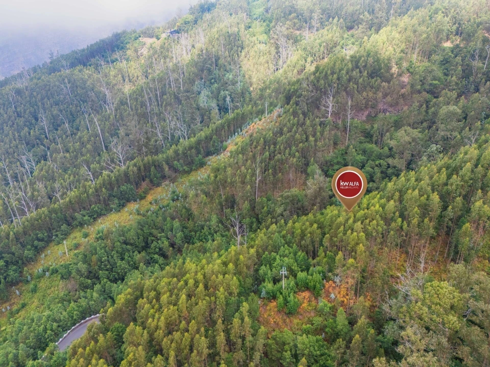 Terreno para Venda em Monte Foto 3