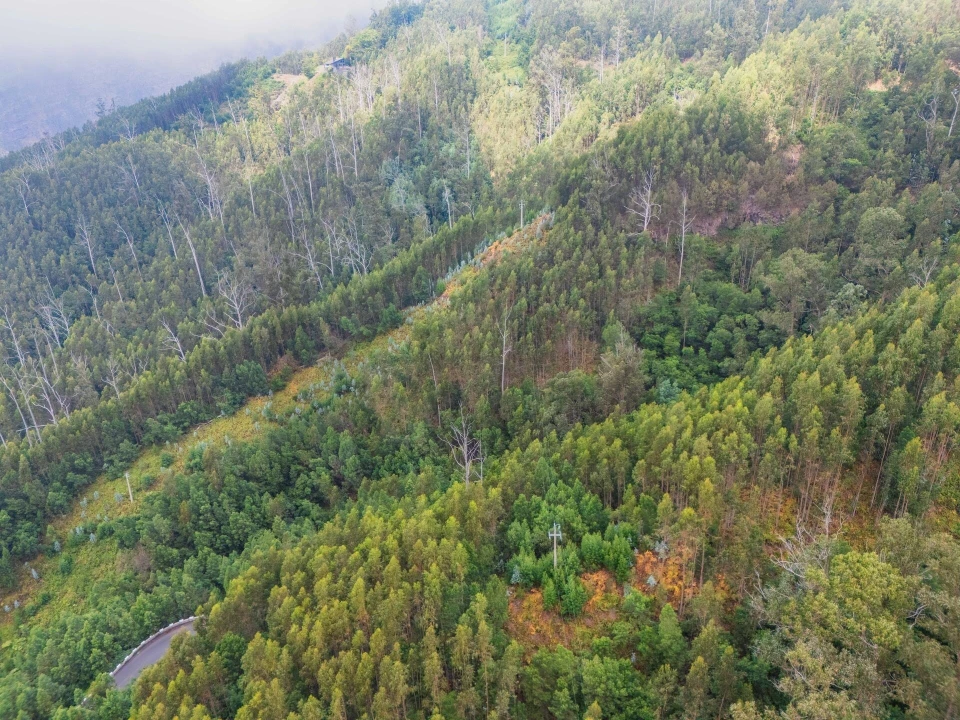 Terreno para Venda em Monte Foto 13