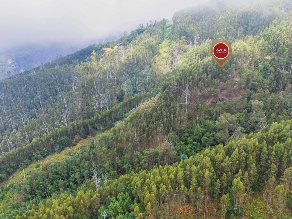 Terreno para Venda em Monte Foto 14