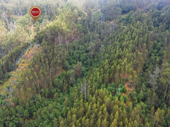 Terreno para Venda em Monte Foto 6