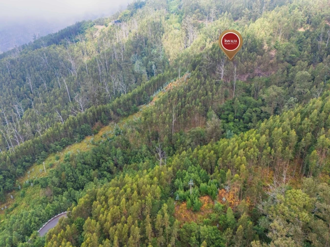 Terreno para Venda em Monte Foto 10