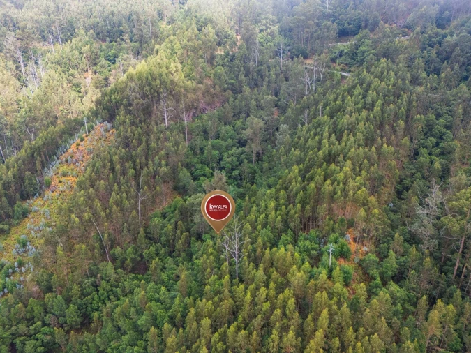 Terreno para Venda em Monte Foto 8