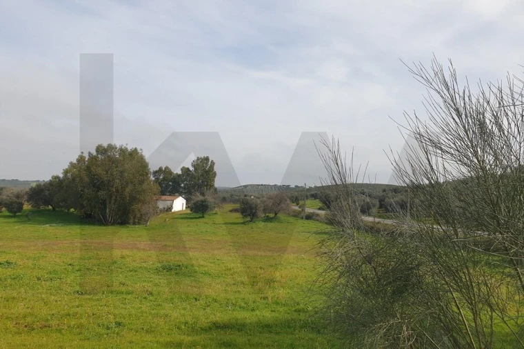 Moradia T3 para Venda em Pias Foto 26