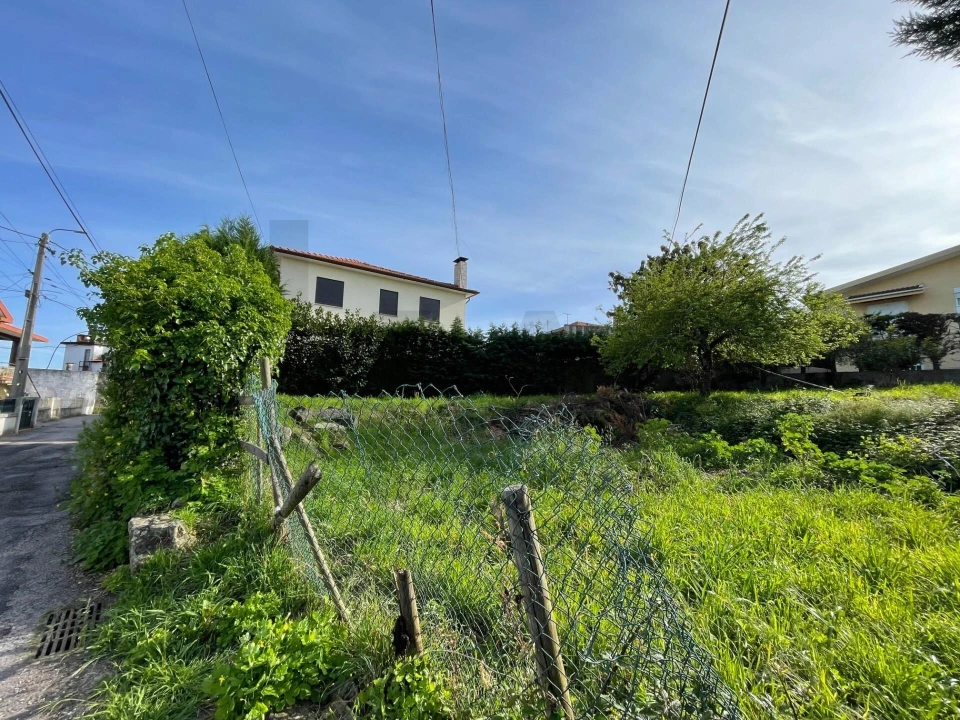 Terreno para Venda em Vila de Cucujães Foto 5