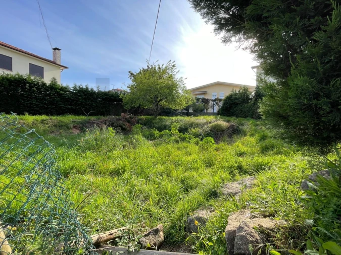 Terreno para Venda em Vila de Cucujães Foto 8