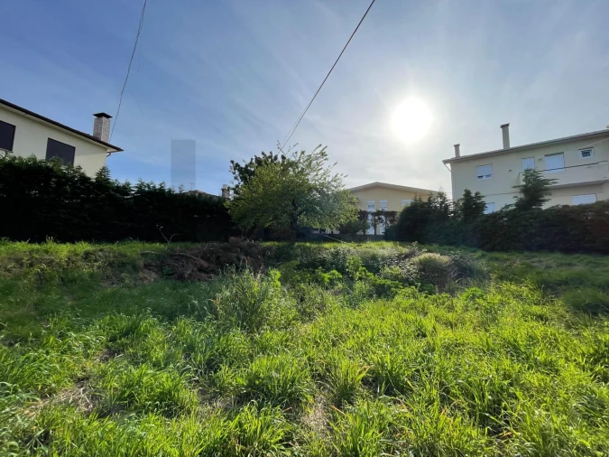 Terreno para Venda em Vila de Cucujães Foto 4