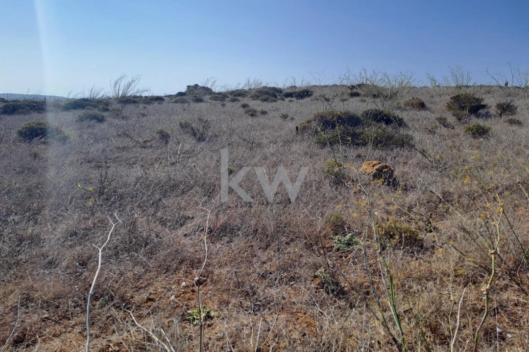 Terreno para Venda em Vila do Bispo e Raposeira Foto 2