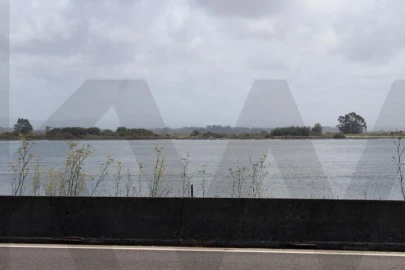 Terreno para Venda em Torreira
