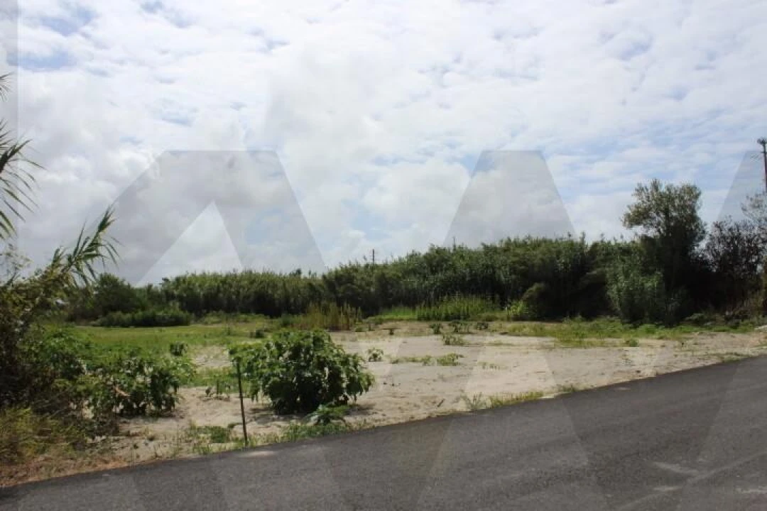 Terreno para Venda em Torreira Foto 2